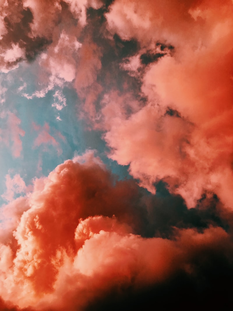 落日余晖洒满老街树梢